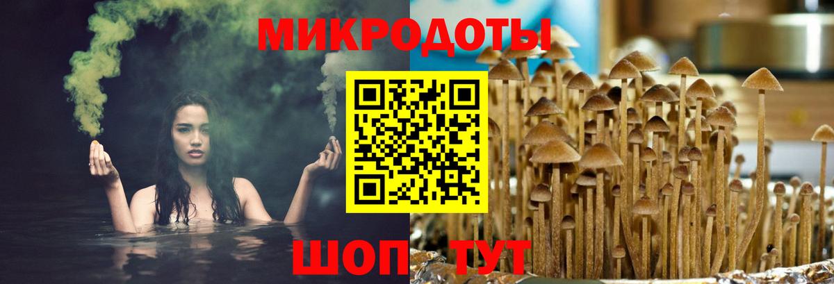 Чехов  Псилоцибиновые грибы Cubensis  Вход с VPN 